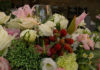 006: Local Italian flowers, foraging for mushrooms, and more! An arrangement of local Italian flowers on a table.