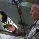 A man observing an olive tree in a machine.