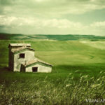 010: Italian bike tour through Tuscany.