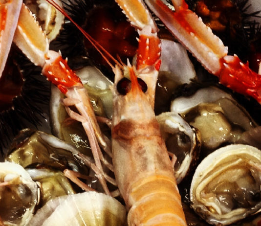 021: If you love seafood and beaches, you’ll love Puglia, Italy Puglia Beaches