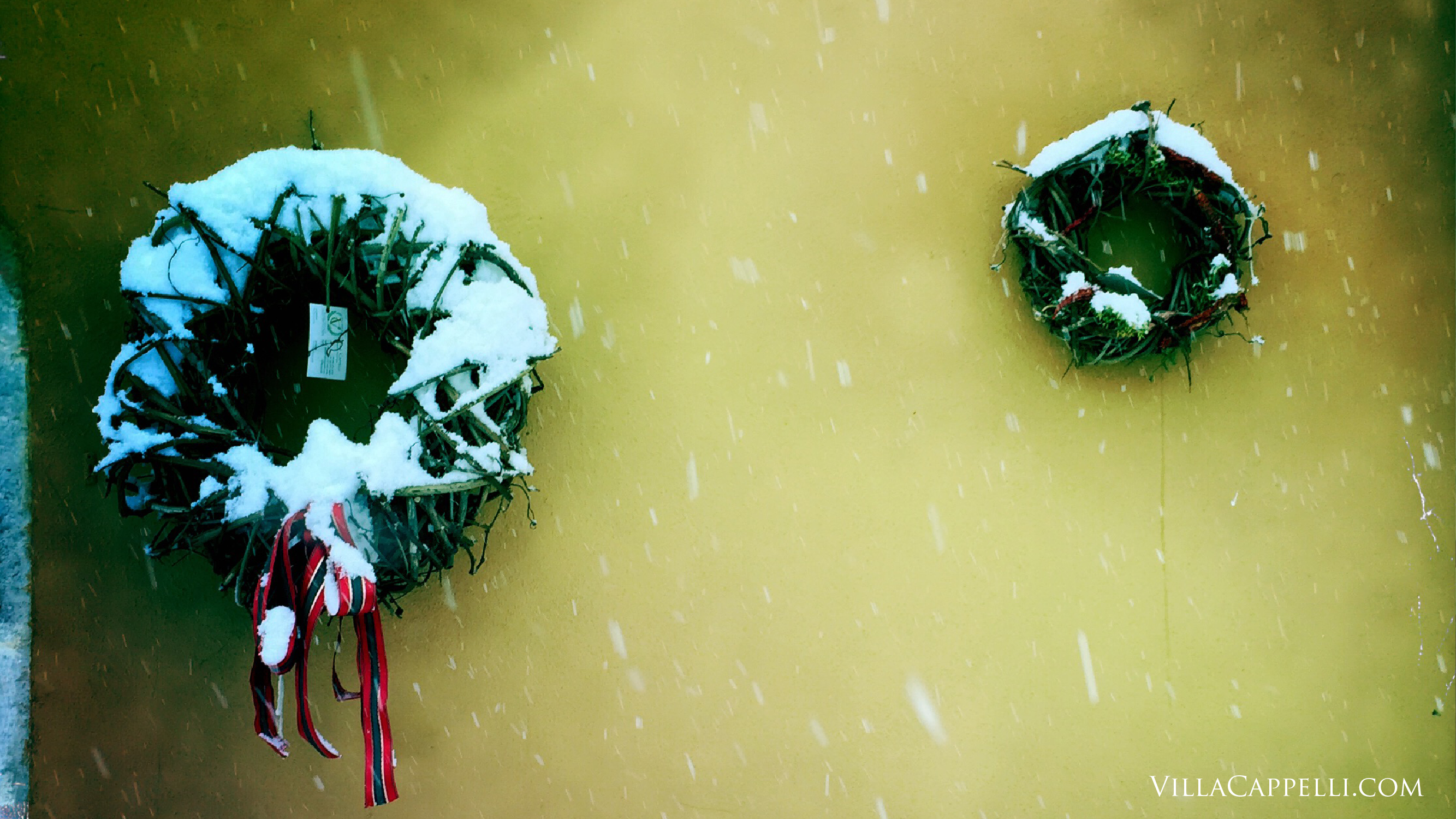 Wreaths caught in the snow storm of 2014.
