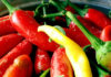 026: Hot Sauces & Italian Healthcare Italian Villa Rental Italy Italian food Spicy F