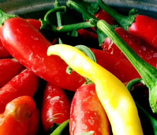 026: Hot Sauces & Italian Healthcare Italian Villa Rental Italy Italian food Spicy F