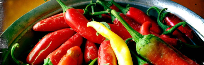 026: Hot Sauces & Italian Healthcare Italian Villa Rental Italy Italian food Spicy F