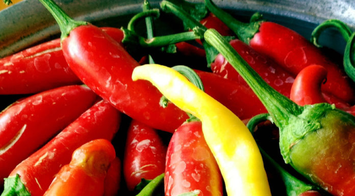 026: Hot Sauces & Italian Healthcare Italian Villa Rental Italy Italian food Spicy F