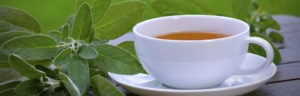 Italian Villa Rental Italy Italian Food Herb Tea 1