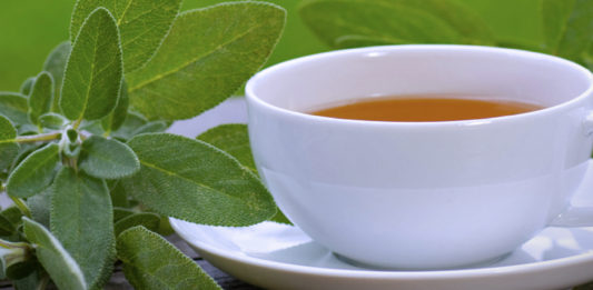 030: Italian cures for the common cold, fact v. fiction Italian Villa Rental Italy Italian food Herb Tea