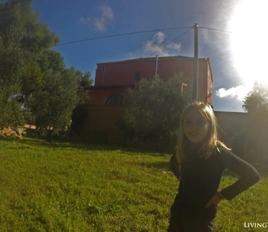 047: International Nomads Austin and Geneva International Nomads