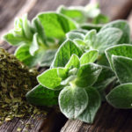 Oregano Health Benefits FB