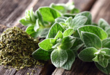 5 Oregano Health Benefits You Probably Didn’t Know Oregano Health Benefits FB
