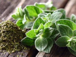 5 Oregano Health Benefits You Probably Didn’t Know Oregano Health Benefits FB