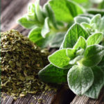 Oregano Health Benefits5