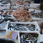 Puglia Culinary Tour Fish Market